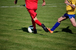 乐鱼（LEYU）体育-世界青少年自行车赛中国骑手再创佳绩，2020全国青少年自行车锦标赛