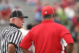 leyu乐鱼在线登录入口-意甲裁判语义分析辅助判罚准确性的应用探讨，意甲裁判名单