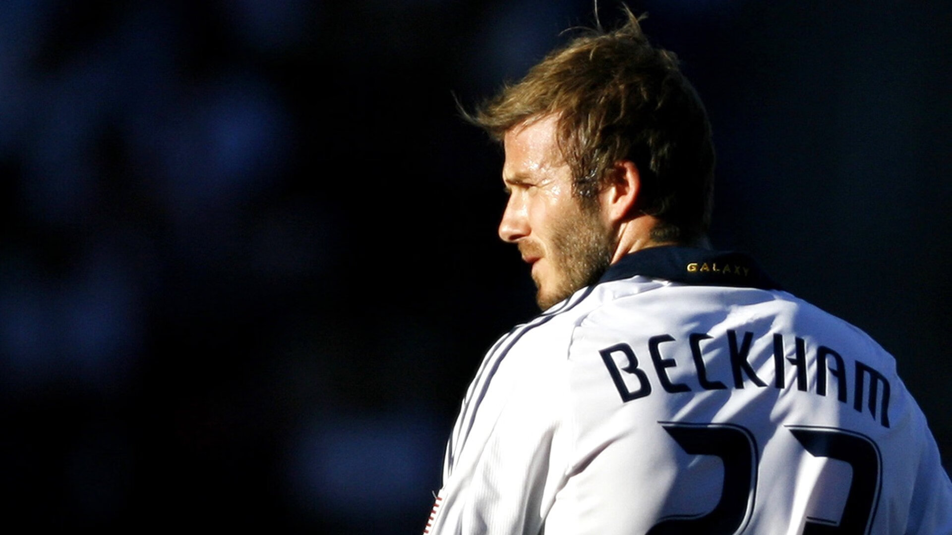 体育新闻中心推动体育场馆传播场景数字化改造,体育场馆信息化建设